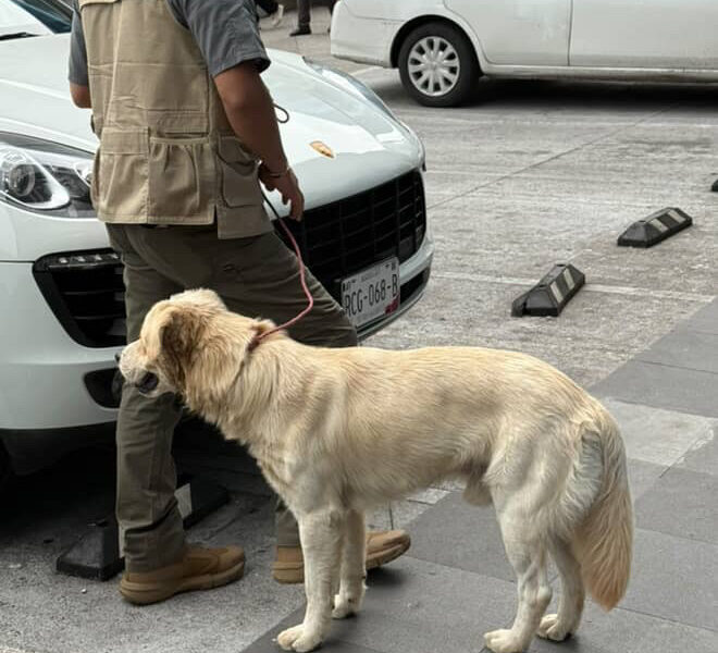 Bartolo