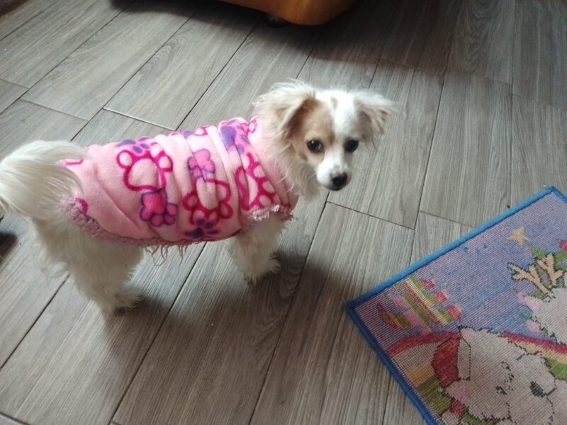 CHIQUITA