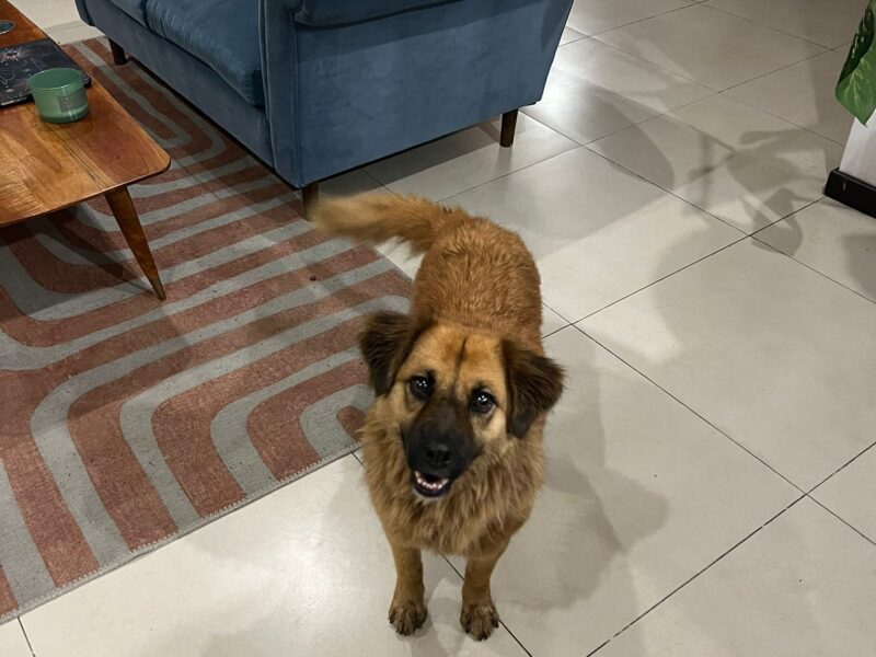 CARMELA