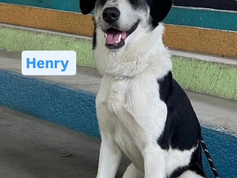 HENRY