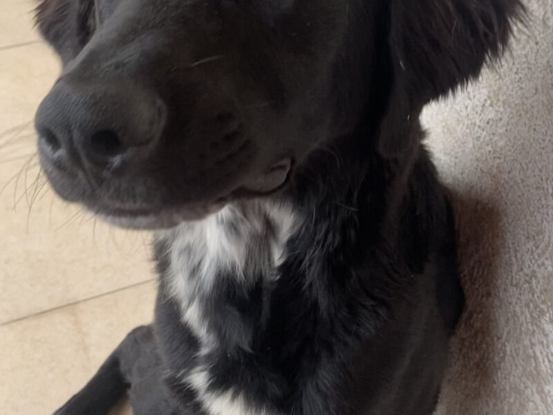 REMI