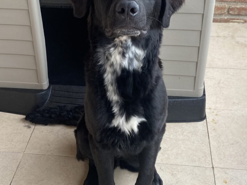 REMI