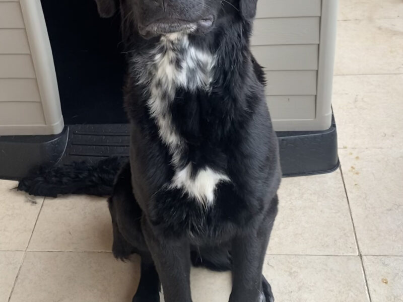 REMI