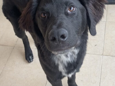 REMI