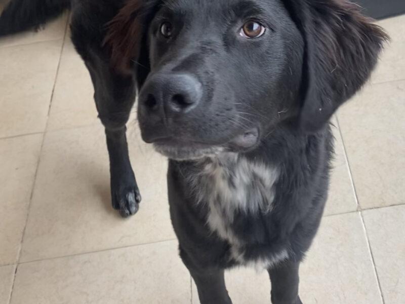 REMI