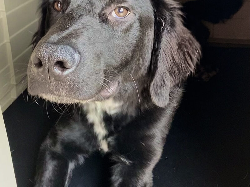 REMI