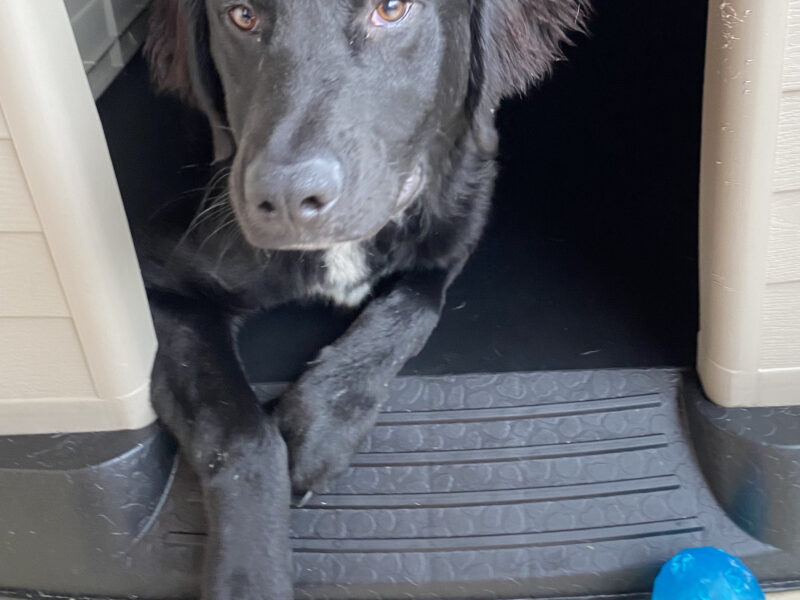 REMI