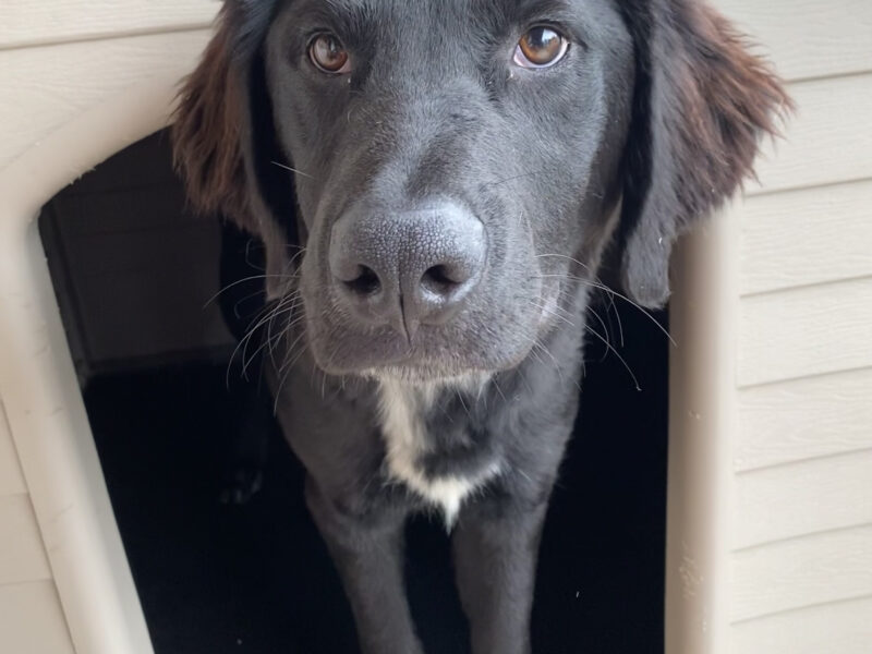 REMI