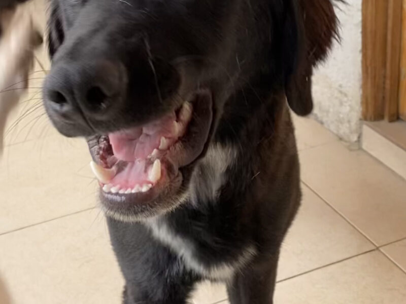 REMI