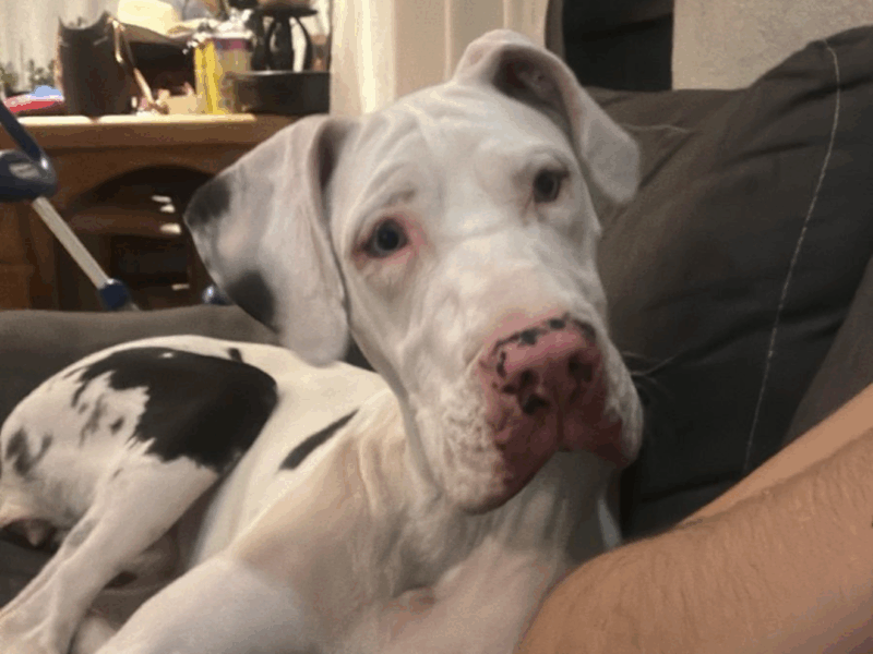 MOLLY