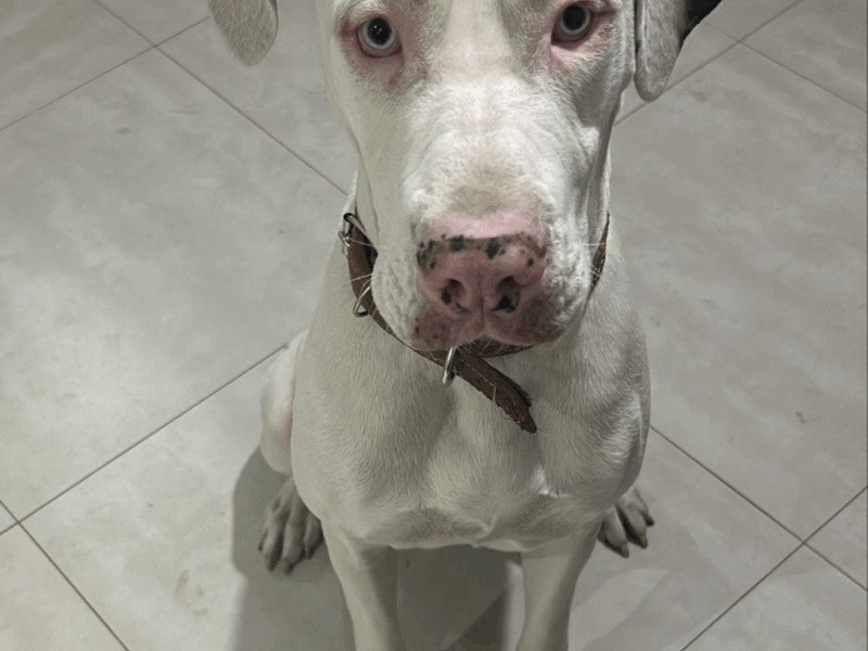 MOLLY
