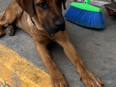 COFI
