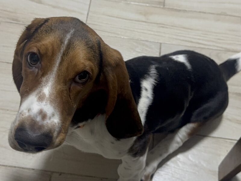 JUANITO