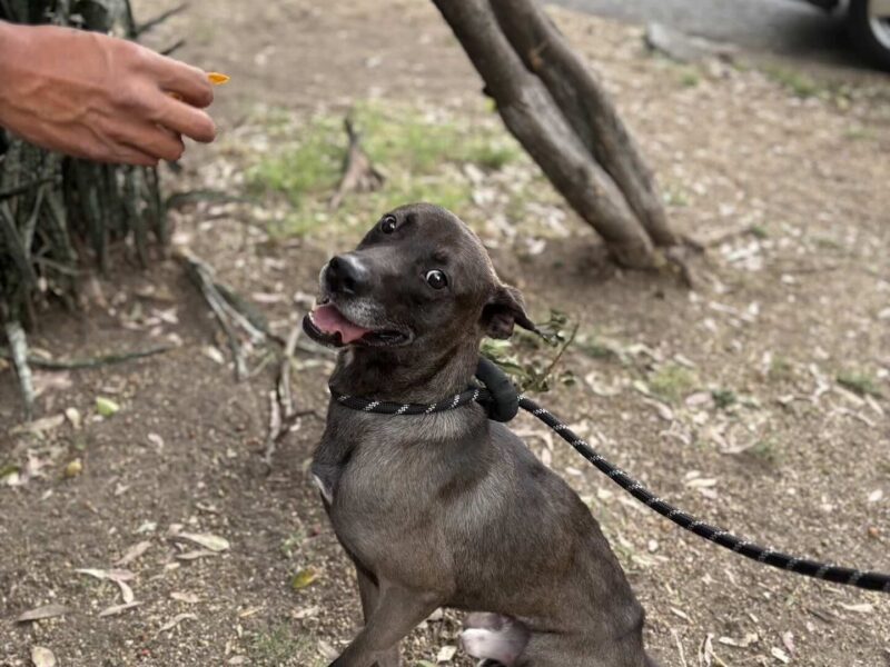 CIRILO