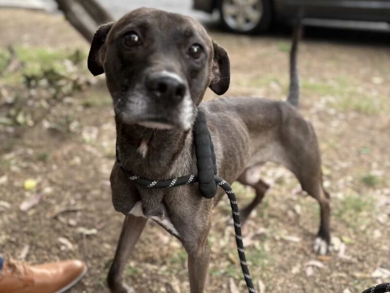 CIRILO