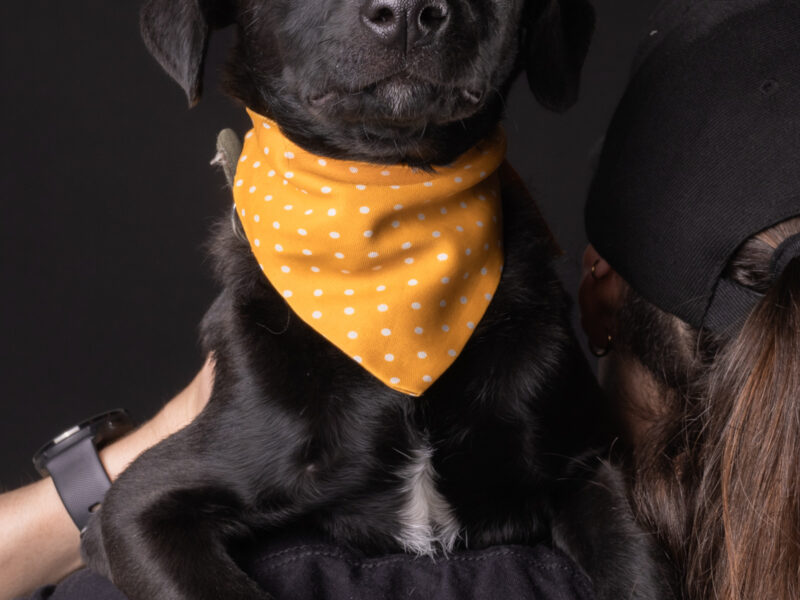 BLACKIE