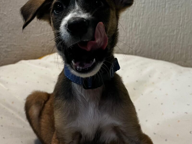 MORTY