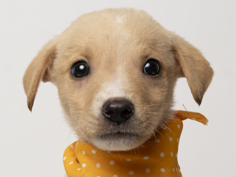 WINKY