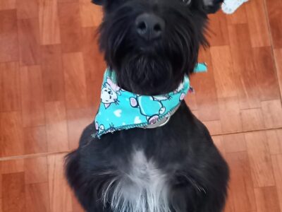 NALA