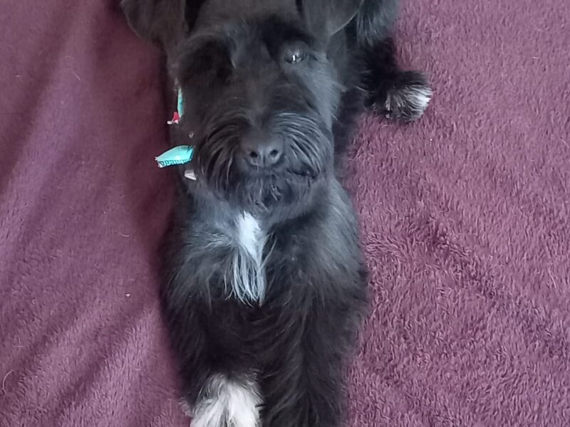 NALA