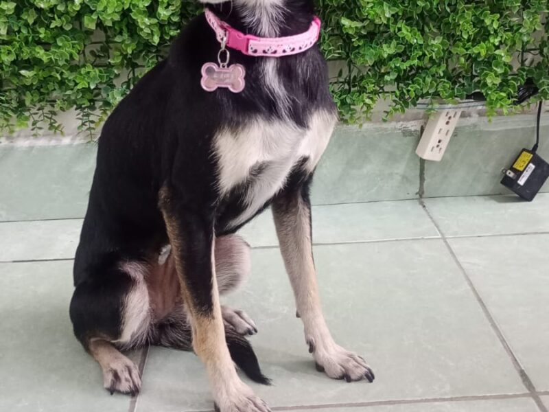 KIRA