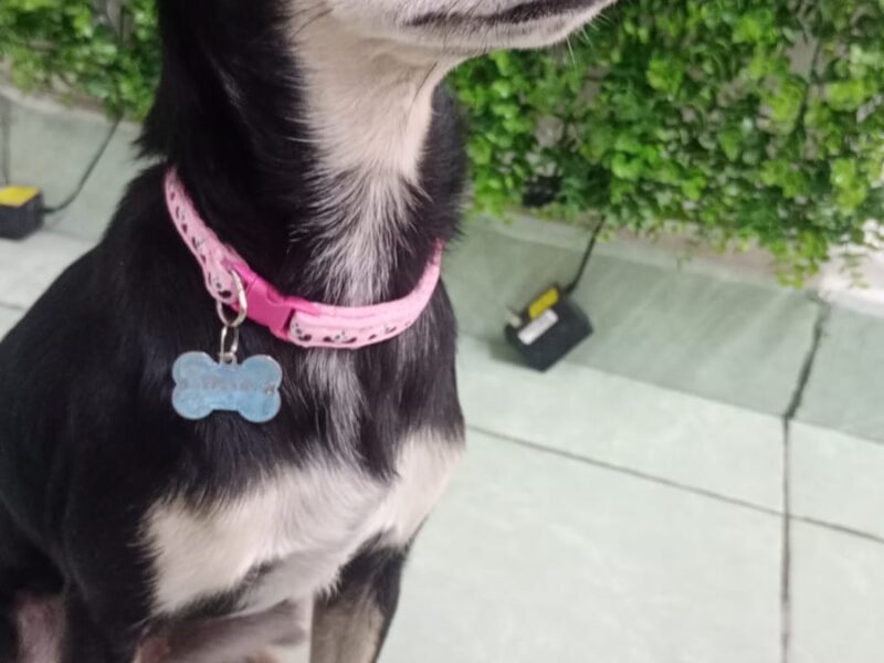 KIRA