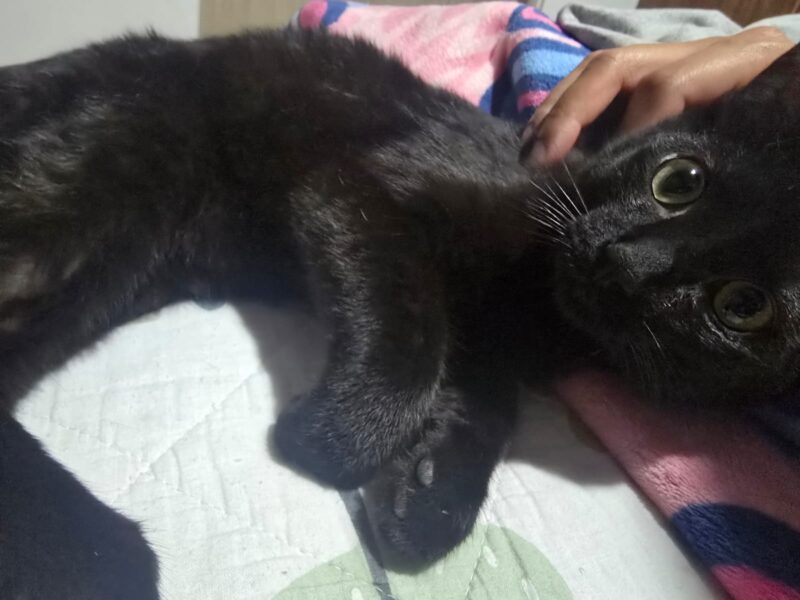 SALEM