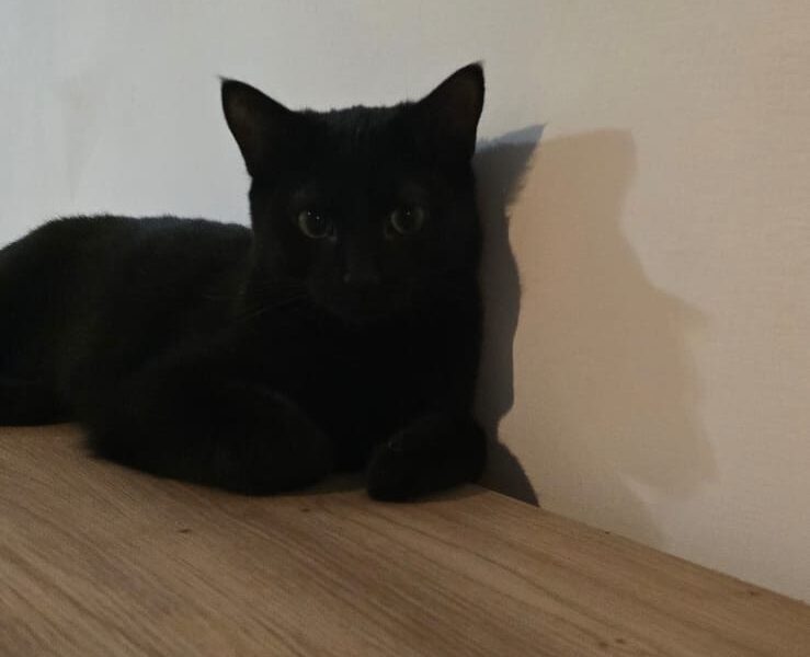 SALEM