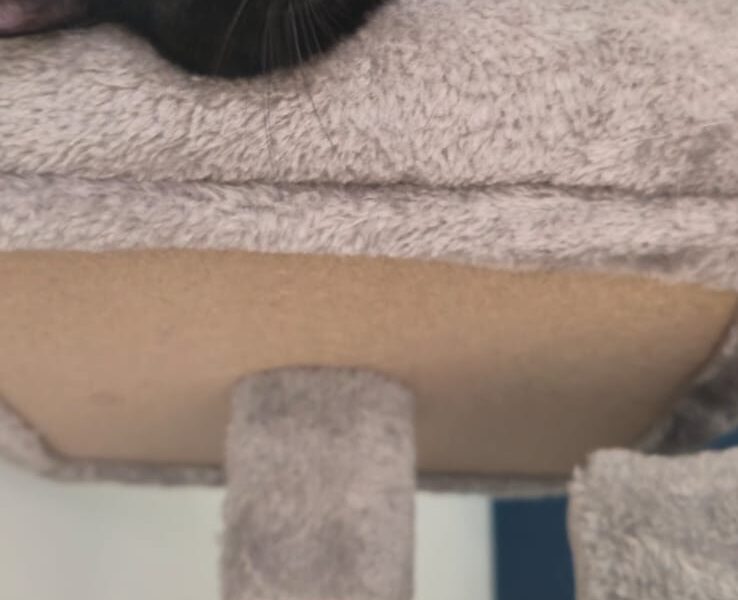 SALEM