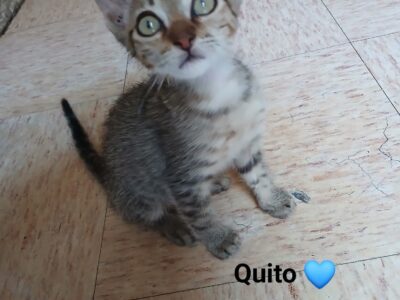 QUITO