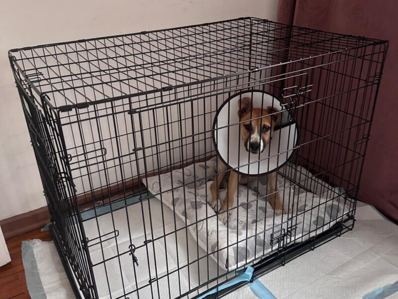BRUNO