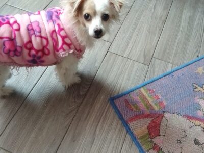 CHIQUITA