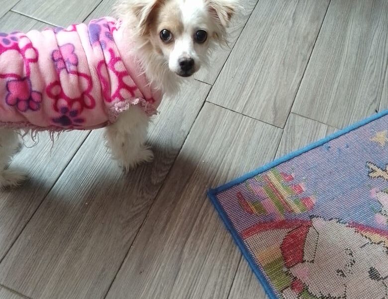 CHIQUITA