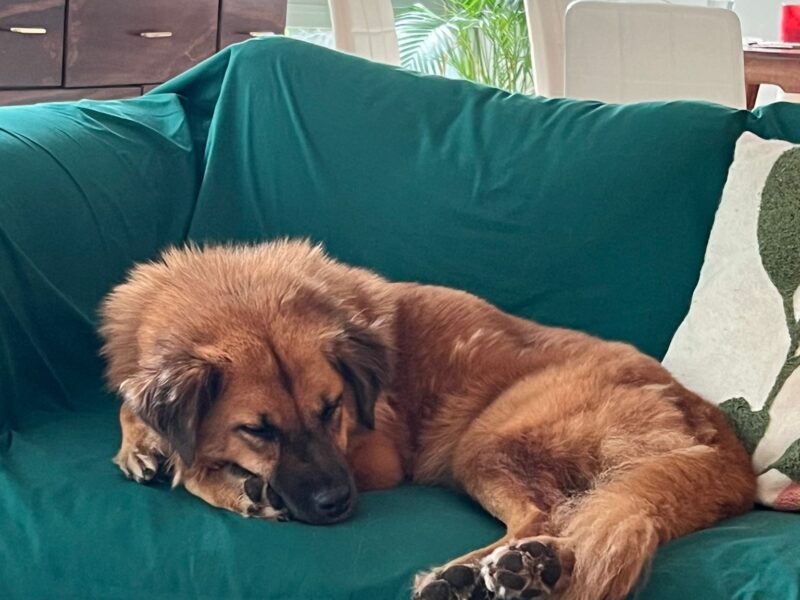 CARMELA