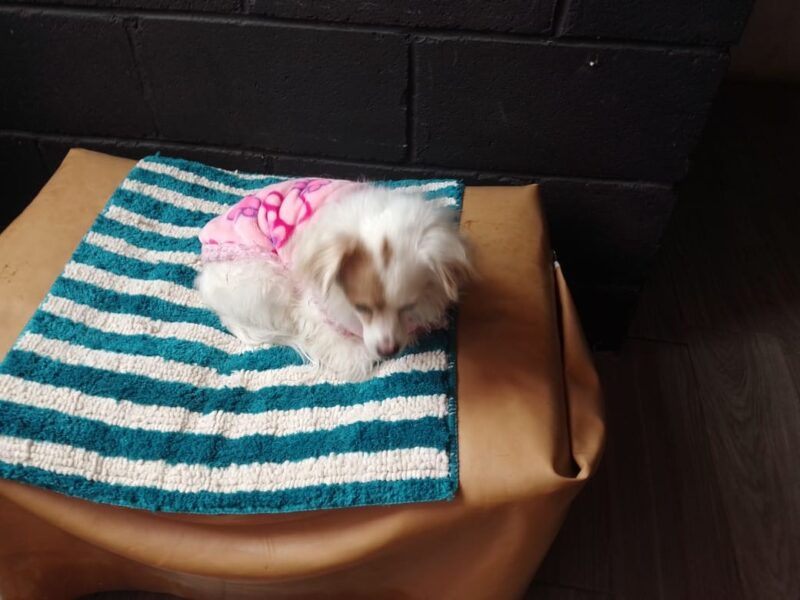 CHIQUITA