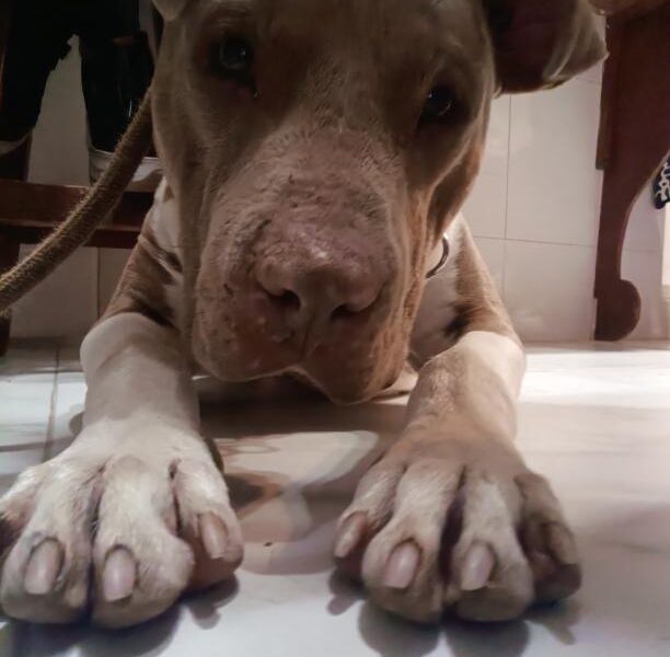 MUÑECO