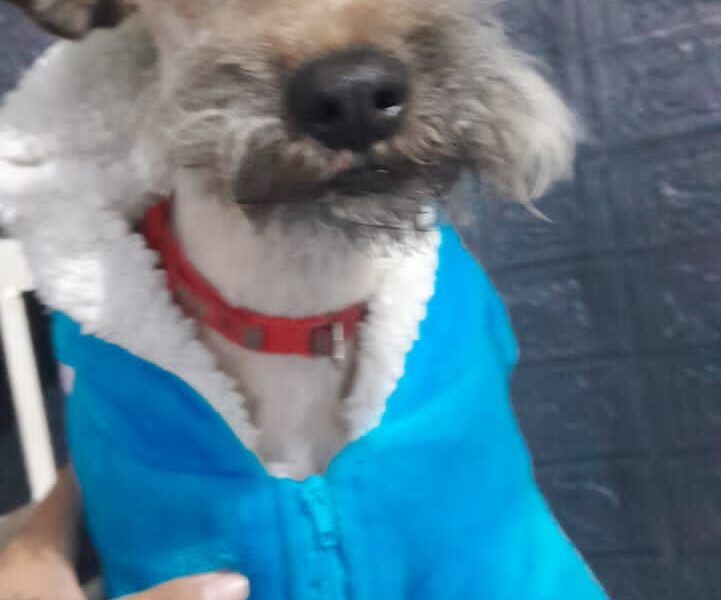 OTIS