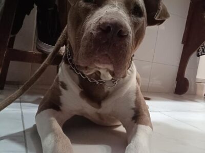 MUÑECO