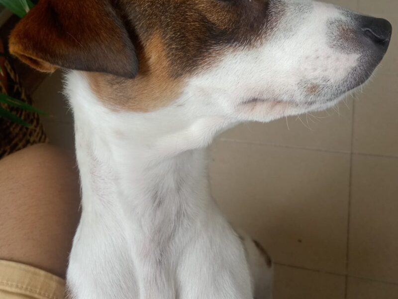 Rita