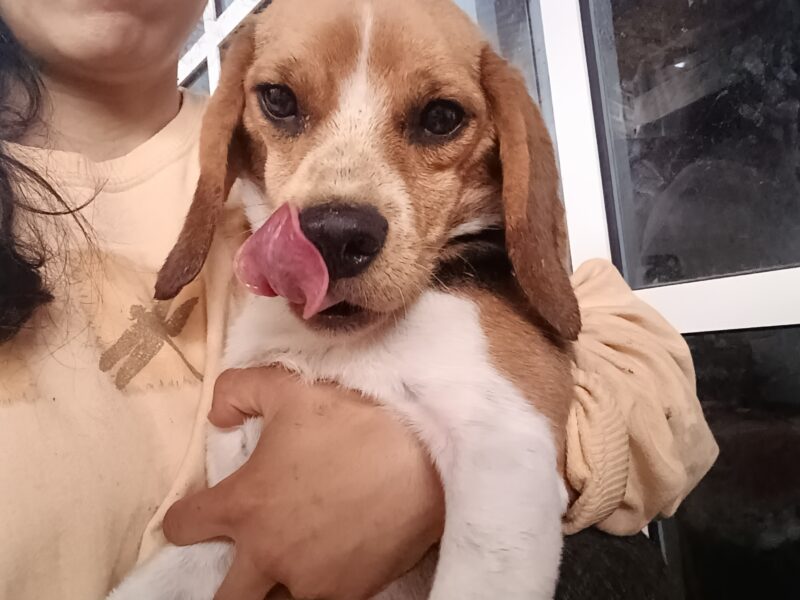 WINNIE