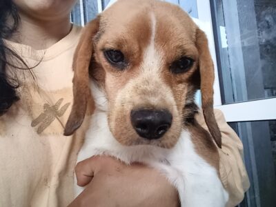 WINNIE