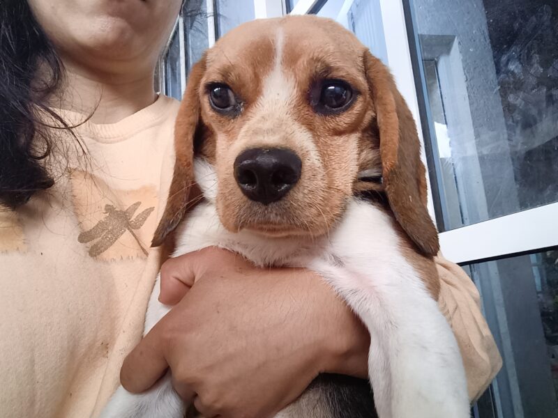 WINNIE