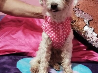 RIGOBERTO