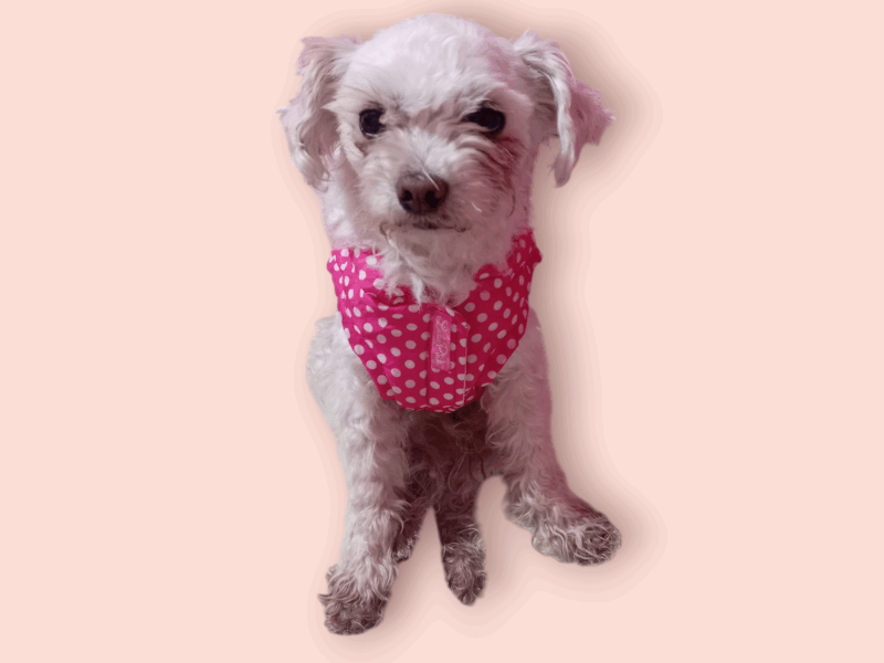 RIGOBERTO