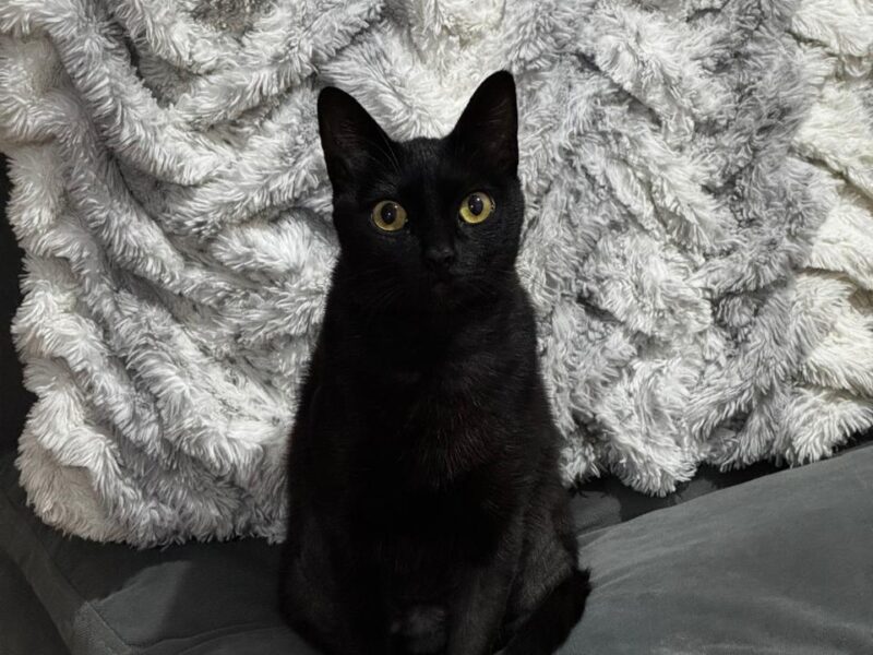 LUCY