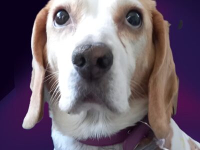 ELLIE