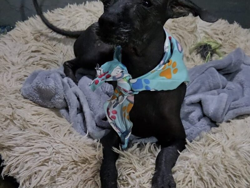 MATILDA