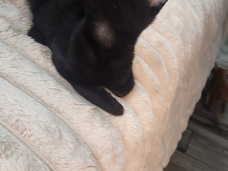 LUNA