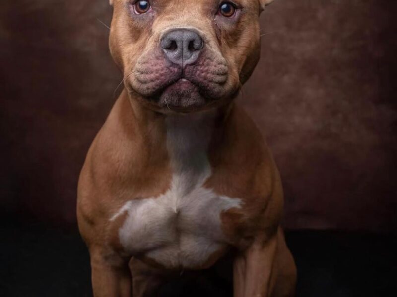 ROXY