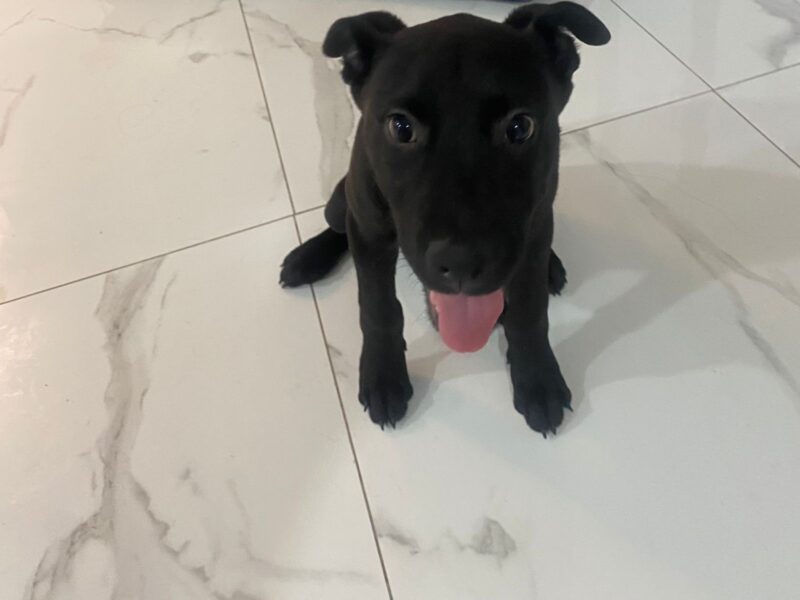OSO